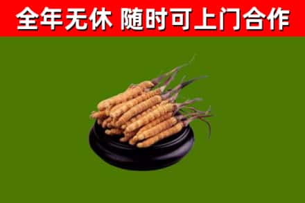 潞州区烟酒回收冬虫夏草.jpg