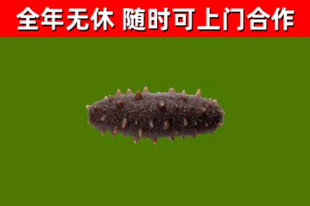 潞州区烟酒回收干海参.jpg